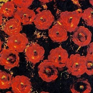 Meet your Posher, May